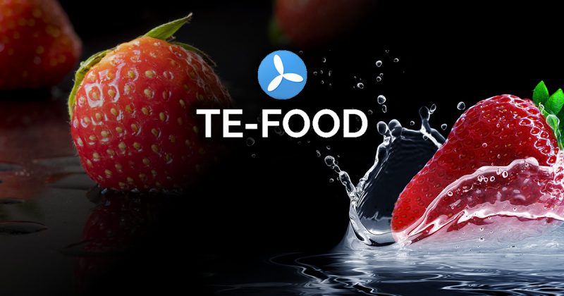TE-FOOD ICO Review And TFOOD Token Analysis