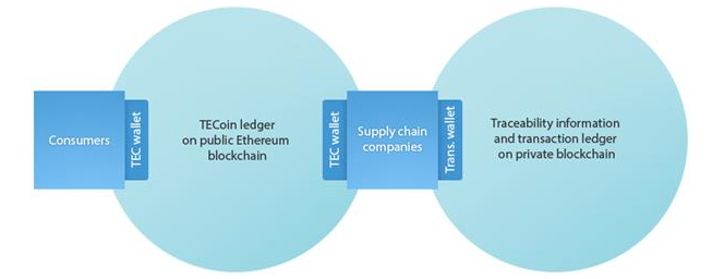 te-food crypto