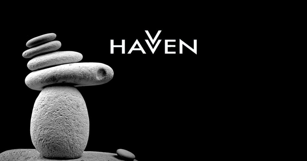 havven token cryptocurrency