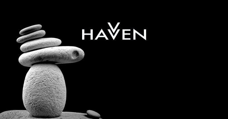 Havven ICO Review and HVV Token Analysis by Crypto Briefing