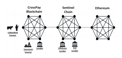 Sentinel Chain ICO Ecosystem Diagram