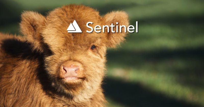 Sentinel Chain ICO Review and SENC Token Analysis by Crypto Briefing