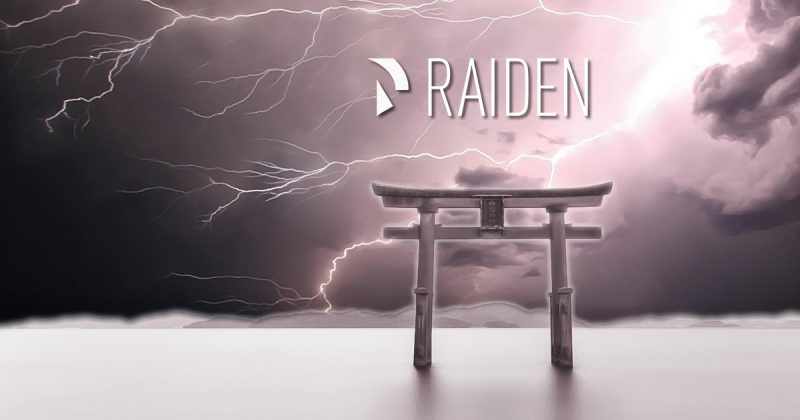 Raiden Progress Report (RDN Token Update)