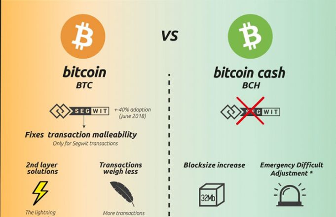 bitcoin cash or btc