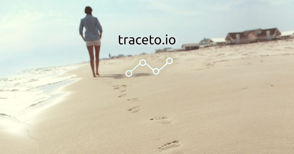 Traceto ICO Review and T2T Token Analysis