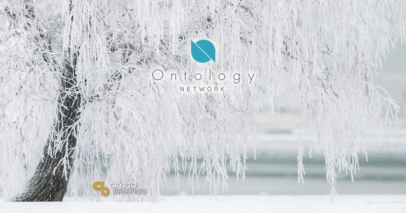 What Is Ontology? Introduction To ONT Token