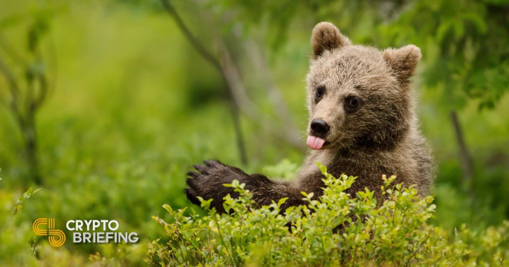Bear Cubs Come Out To Play, As Crypto Looks The Other Way