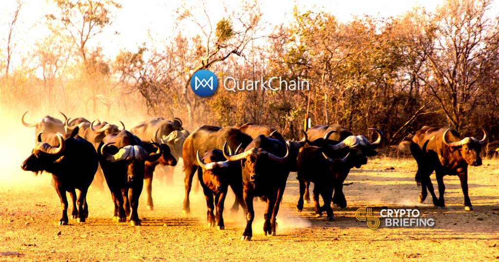 QuarkChain Price Explodes 1200% On Exchange Listings