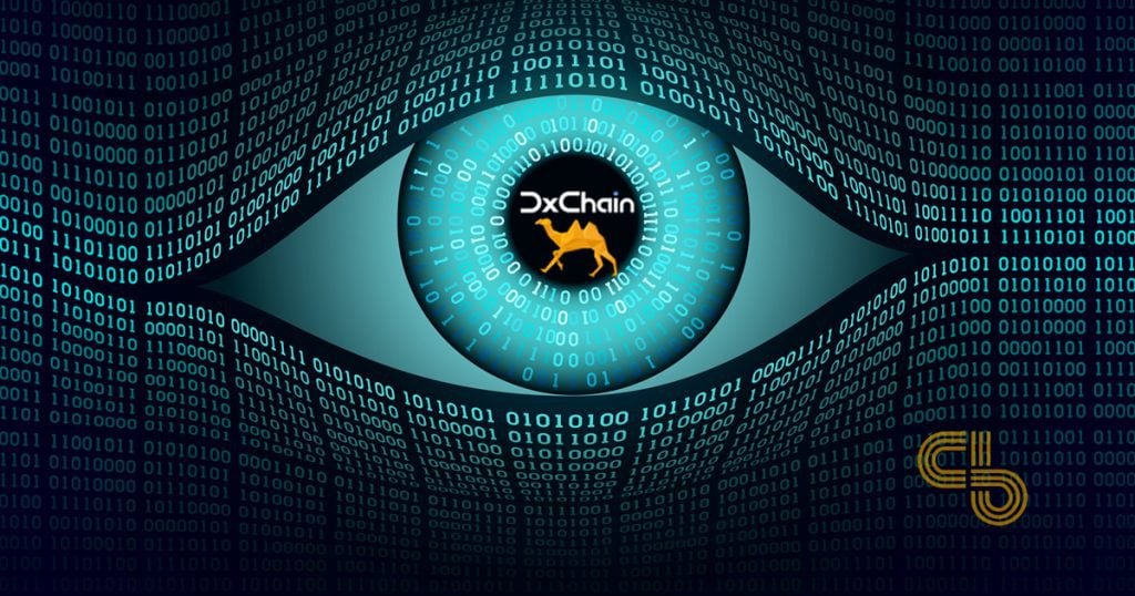 DxChain ICO Review and DX Token Analysis