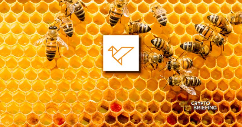 Swarm fund looks to take the sting out of KYC