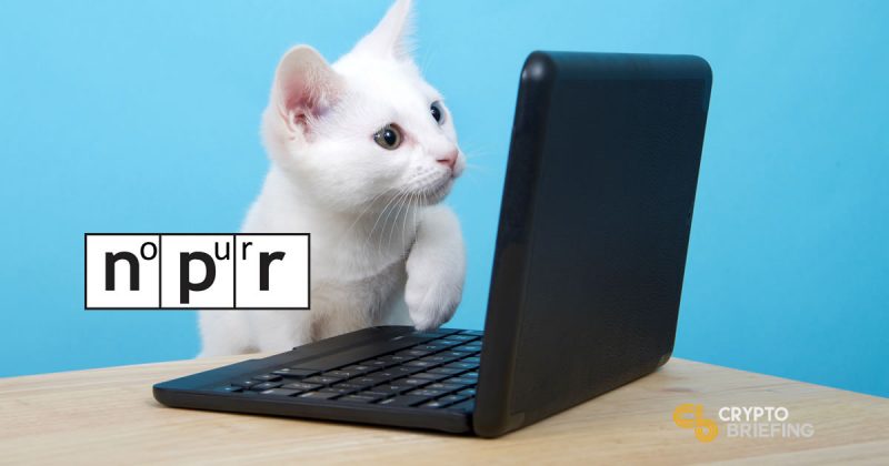 NPR CryptoKitties Shows Introduce Millions To Blockchain Cats