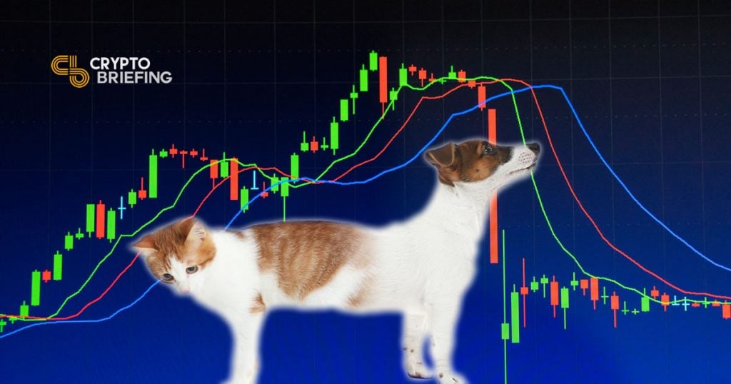Crypto Correlation Increases In Bear Markets