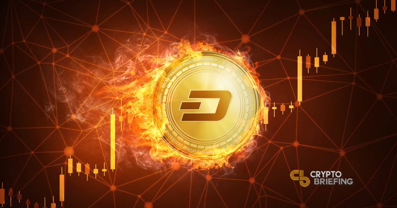 Ryan Taylor of DASH Is Going Nowhere Without A Fight