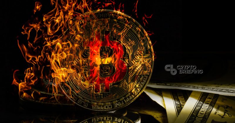 Joe Crypto: Is Bitcoin Holding Us All Back?