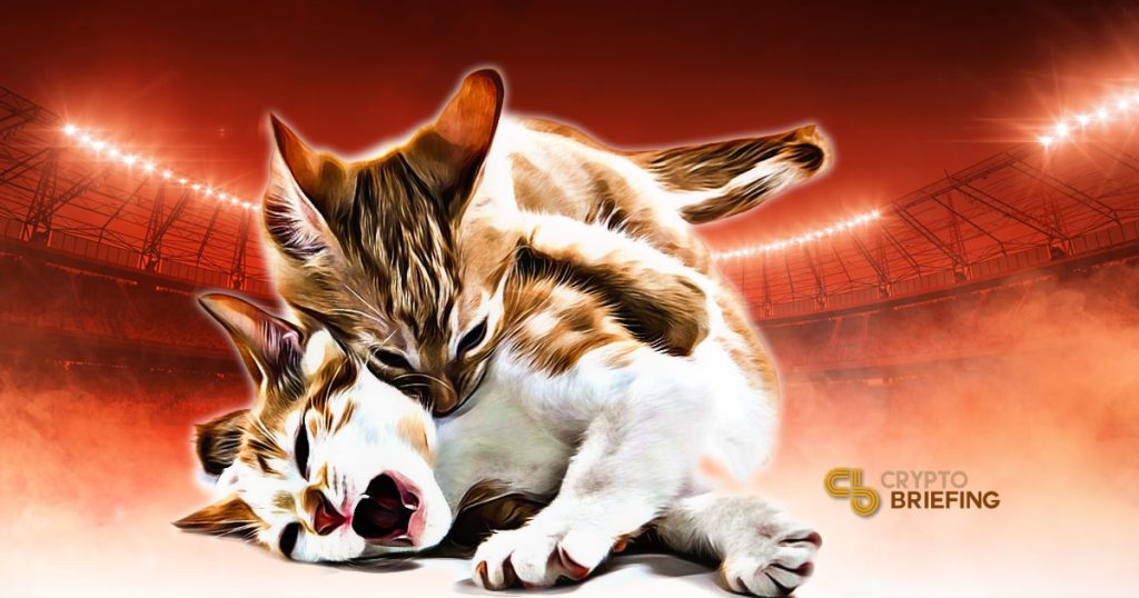 Cats Fight To The Death On The Blockchain: Awwwww
