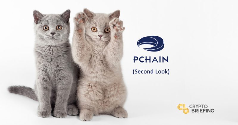 Pchain Code Review by Andre Cronje - Second Look