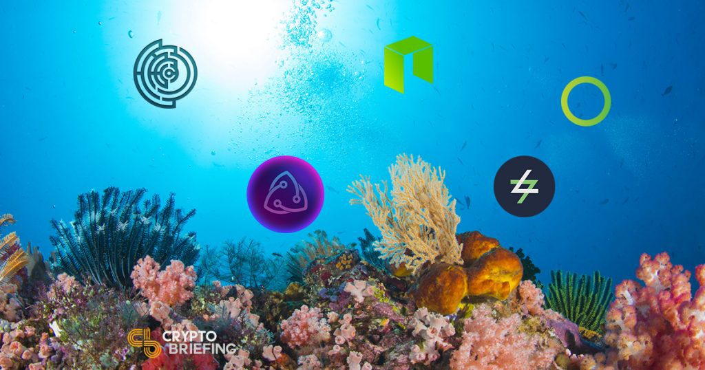 From Travel To AI: Five Leading dApps On The NEO Blockchain