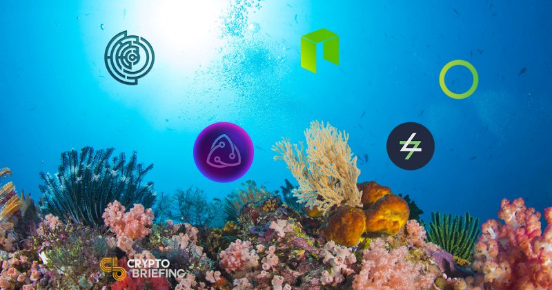 NEO has a busy ecosystem for dApps