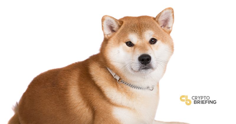 Things are looking grim for crypto's lovable Doge mascot.