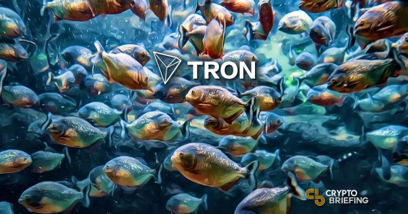 TRX surge traders swap Bitcoin for TRON in feeding frenzy
