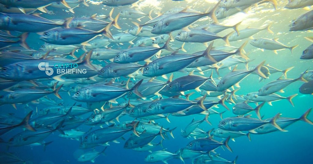 Bumble Bee Foods Uses Blockchain To Track Tuna