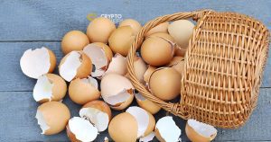 Should You Diversify Your Crypto Portfolio?