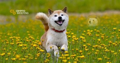 Dogecoin soars to new heights following an important announcement