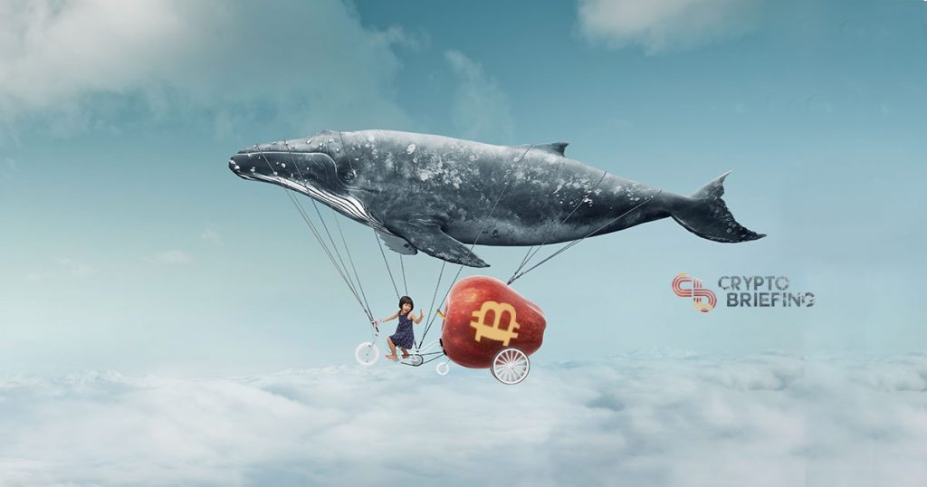 Whales Could Pull Bitcoin Back To $20,000, Says Asset Manager
