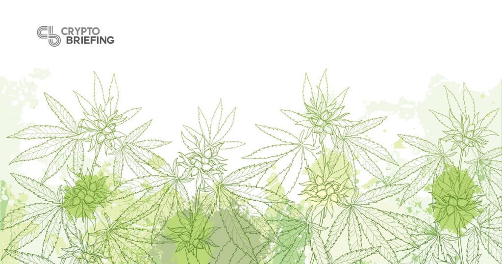 The Growing Use Cases of Blockchain in Cannabis