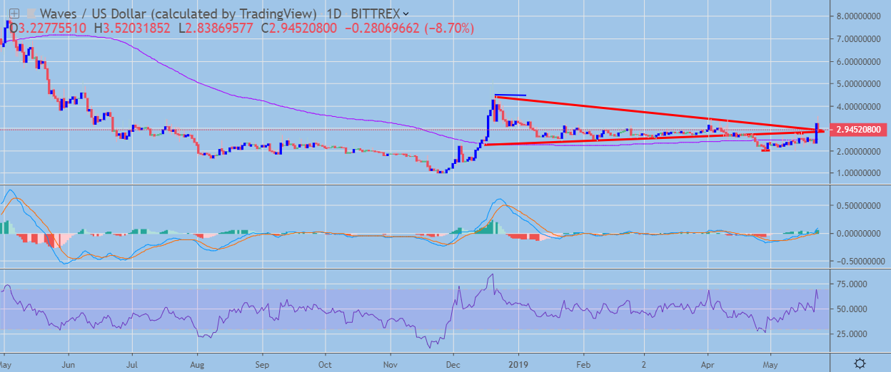 WAVES / USD Daily Chart May 24, powered by TradingView