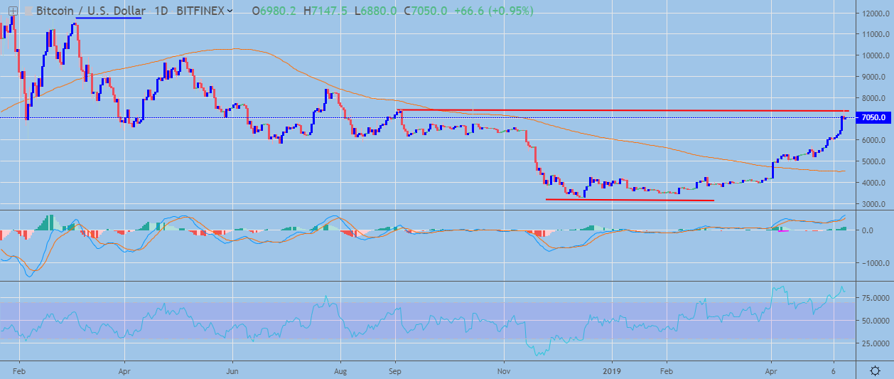 BTC Daily Chart May 13, powered by Trading View