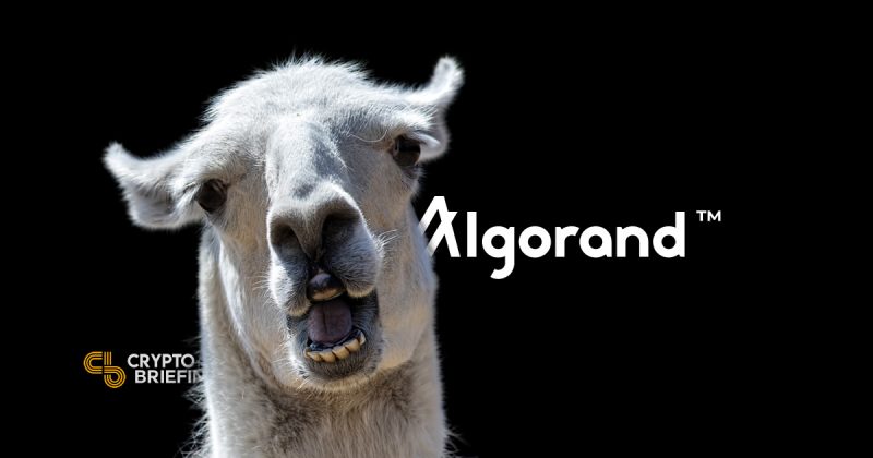 Algorand Raises $60M In Dutch Auction At Insane $24 billion implied market cap