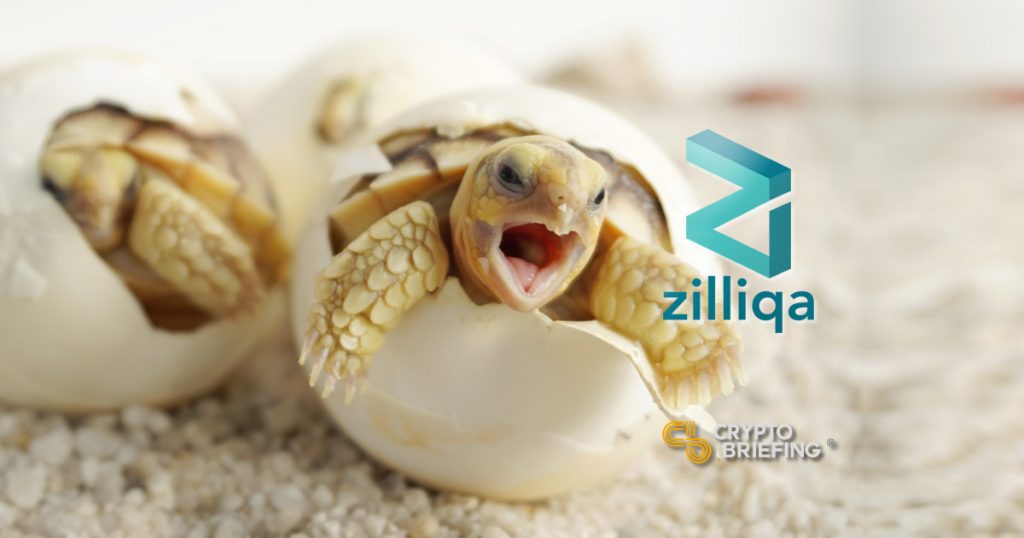 Zilliqa Hopes Its New Incubator Will Hatch New dApps