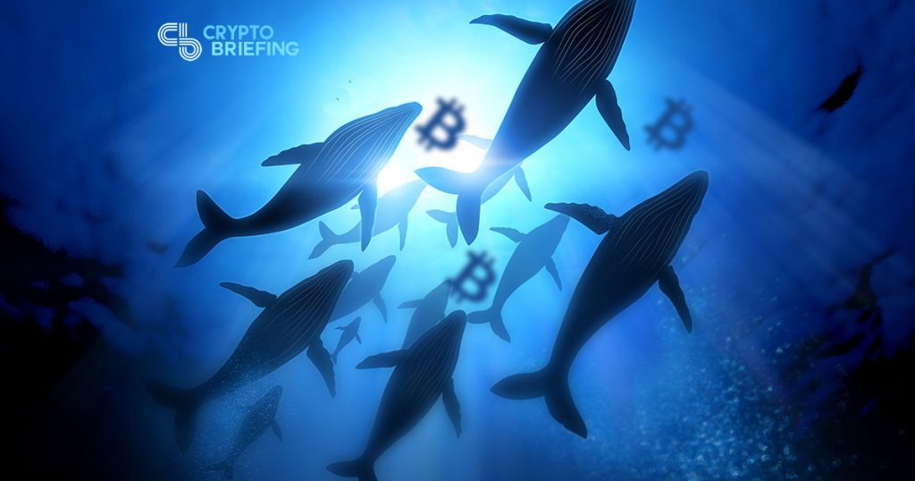 Save The Whales? Why Big Traders Aren't That Bad For The Crypto Ecosystem