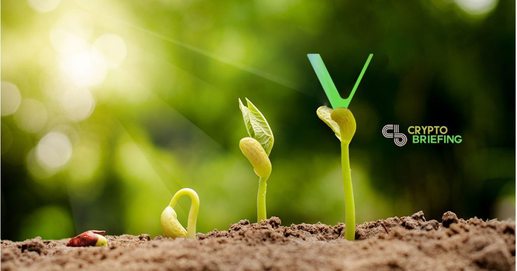 As Summer Starts, VeChain Is Bearing Fruit