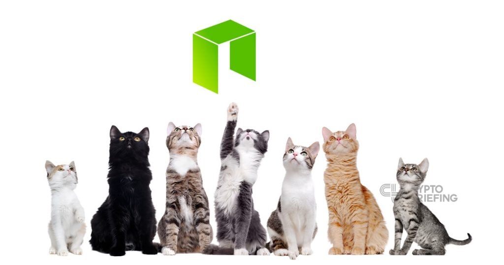 As Alt Season Cranks Up, NEO Network Turns Heads