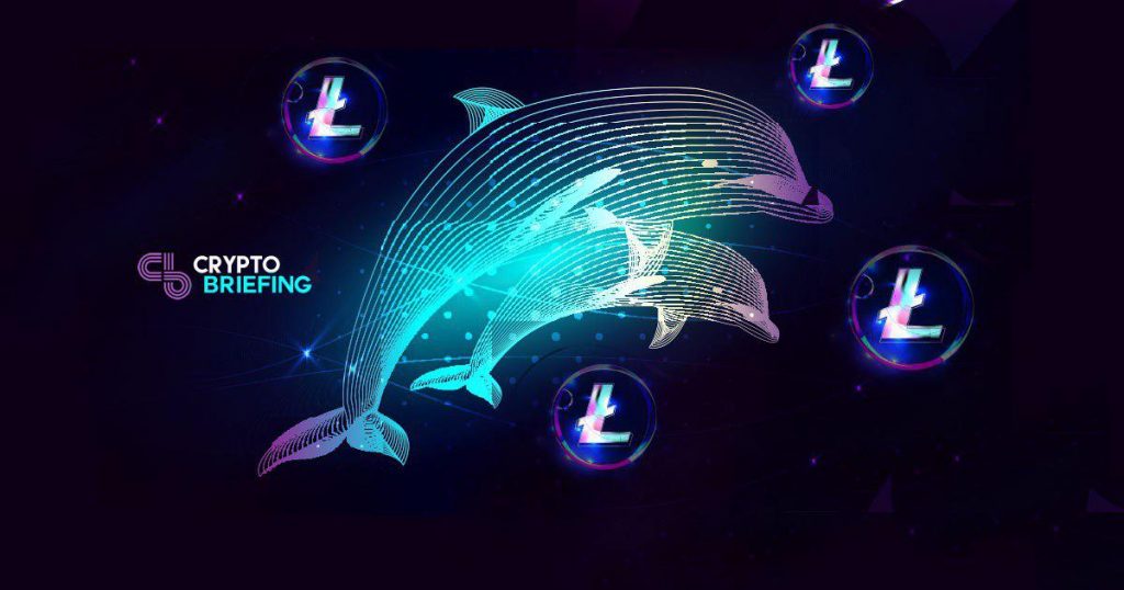 The Miami Dolphins Now Have an 'Official Crypto' – And It's