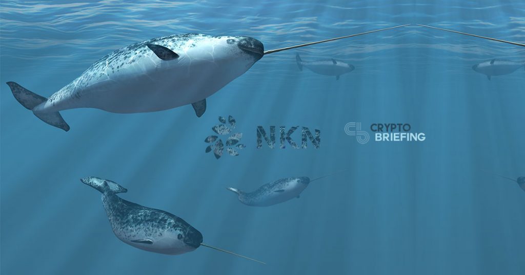 Narwhal: NKN's New Mainnet Comes To Surface