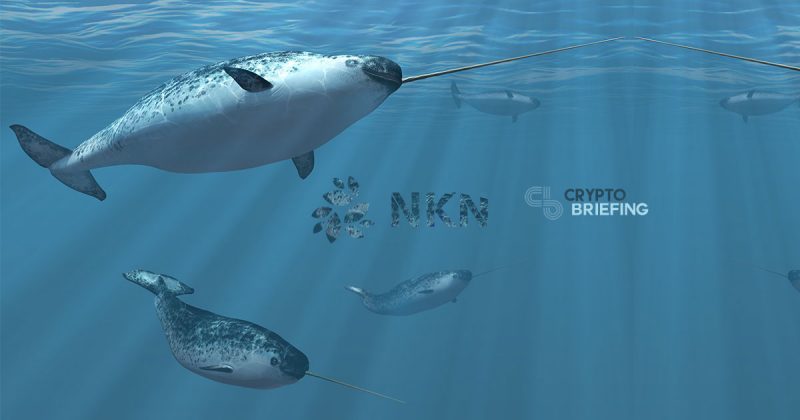 NKN surfaces with Narwhal Mainnet