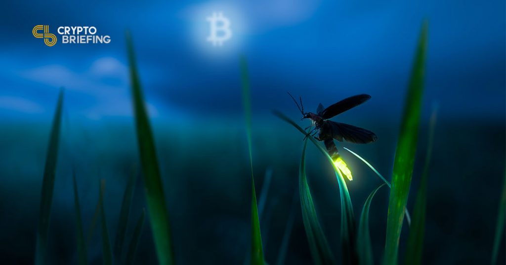 Lightning Bug Illuminates Trouble For Bitcoin Scaling