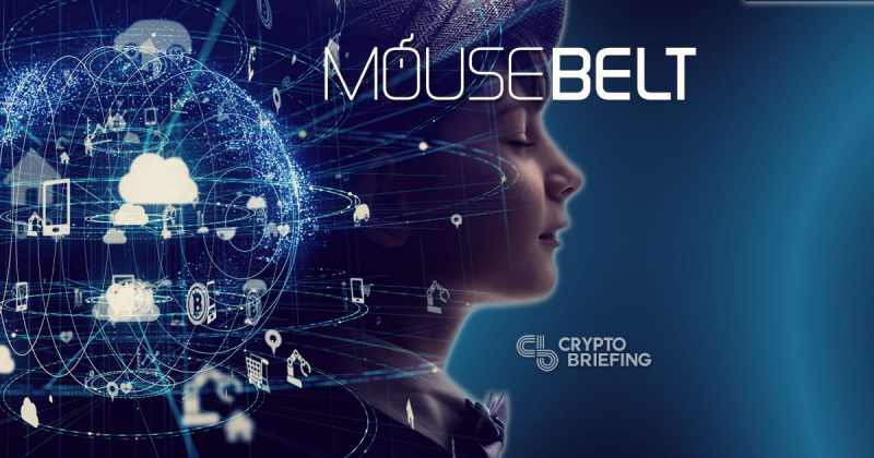 Stellar And TRON Mousebelt To Train Blockchain Developers
