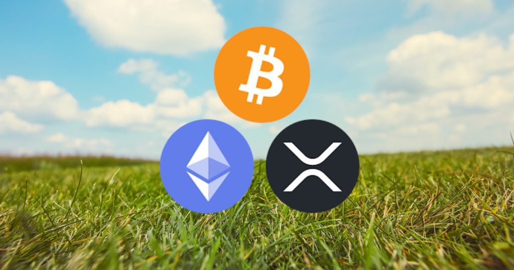 Despite Infura Crash, Ethereum Leads Bitcoin, XRP to Higher Highs