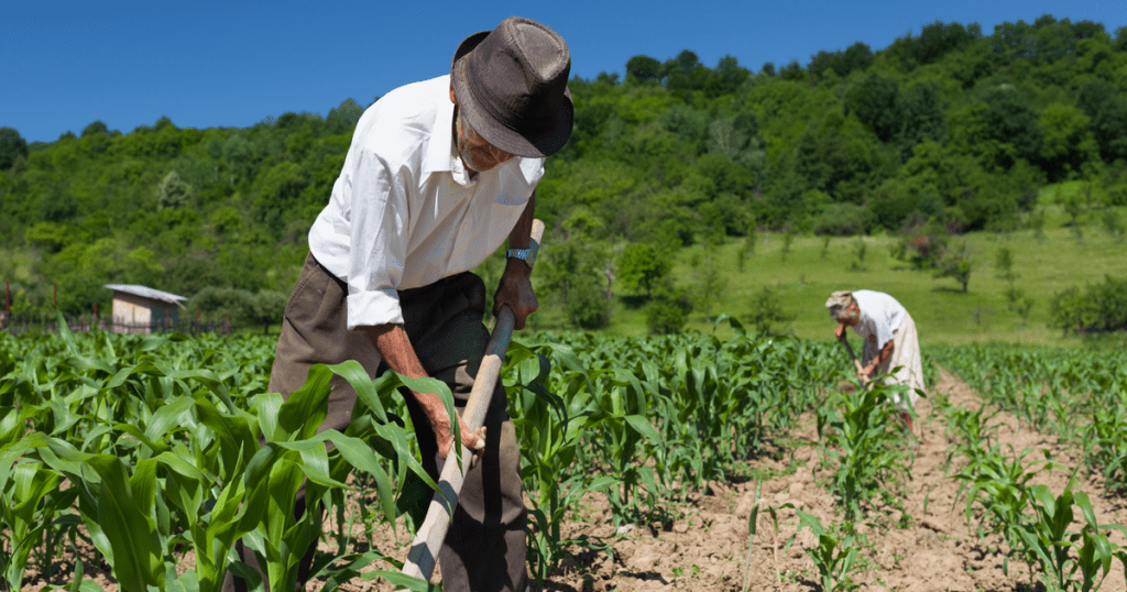 Compound Lowers Interest Rates Amid Yield Farming Frenzy