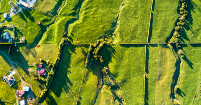 Fresh Farmland Aerial View