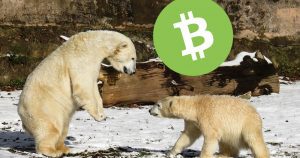 Bitcoin Cash Faction Prolongs November Feud