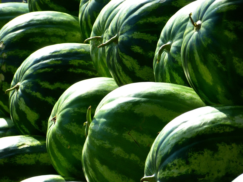 Melon Rebrands to Avoid Confusion With Big Bank