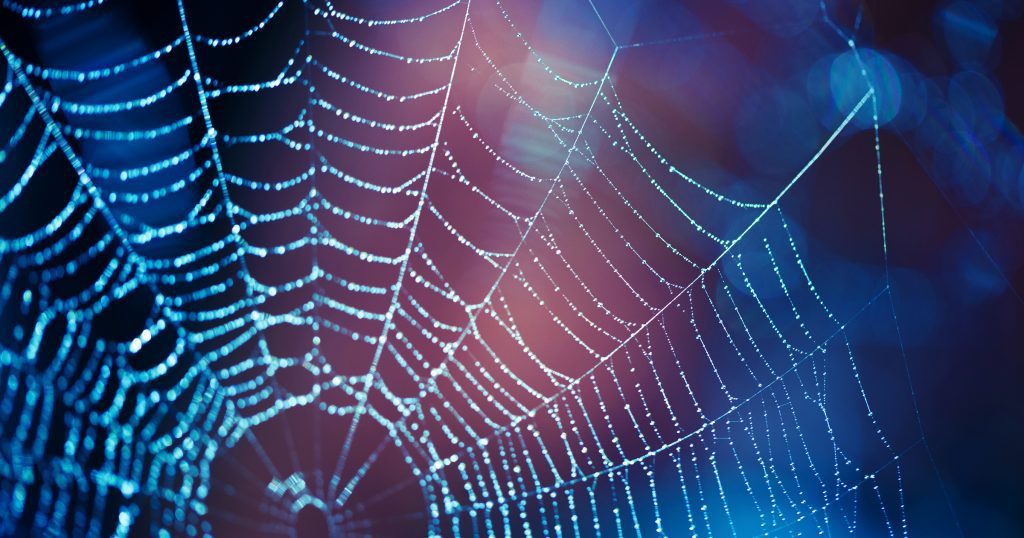 Polkastarter's IDO Platform Launches SpiderDAO Token