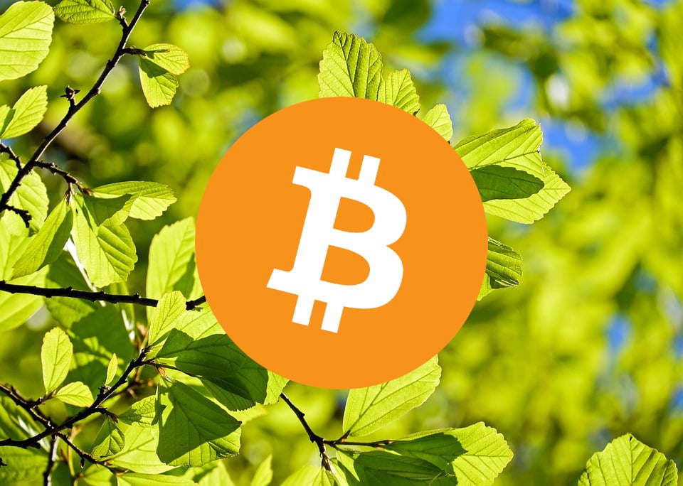 Square Inc. Hopes to Go Green With Bitcoin