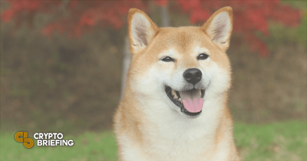 Dogecoin Is Now Available on Ethereum for DeFi Users
