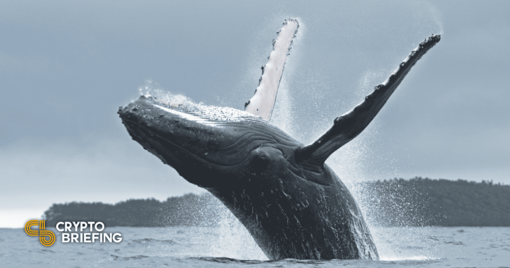 Ethereum Primed to Rebound Thanks to Whale Buyers